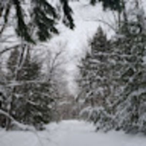 Meet your Posher, Jr